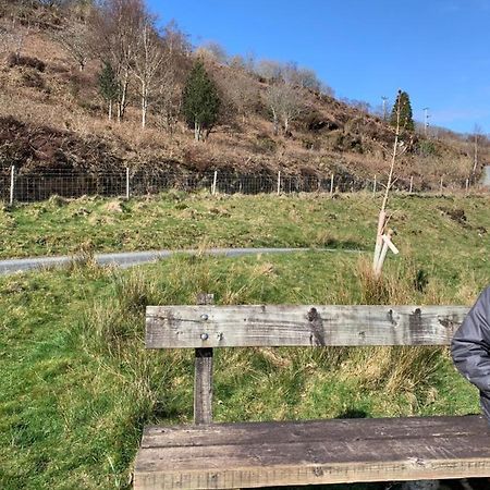 Snowdonia Rock Cottage - Cosy And Pet Friendly 彭希登德雷斯 外观 照片