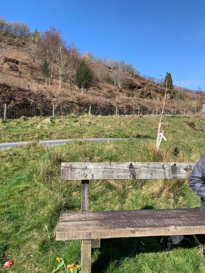 Snowdonia Rock Cottage - Cosy And Pet Friendly 彭希登德雷斯 外观 照片