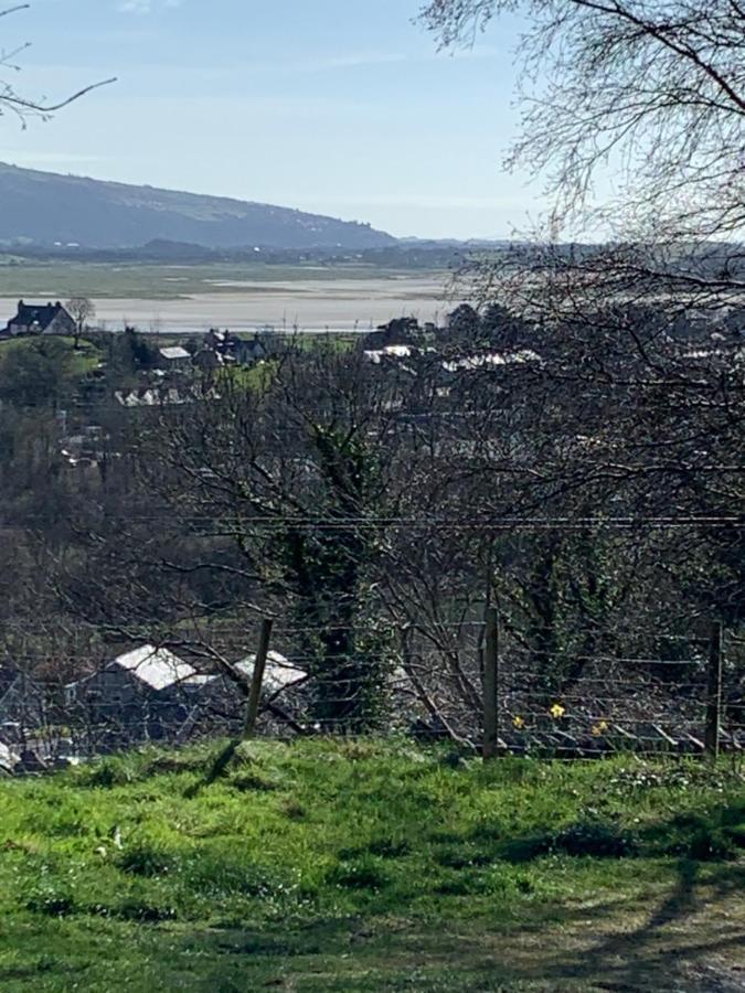 Snowdonia Rock Cottage - Cosy And Pet Friendly 彭希登德雷斯 外观 照片
