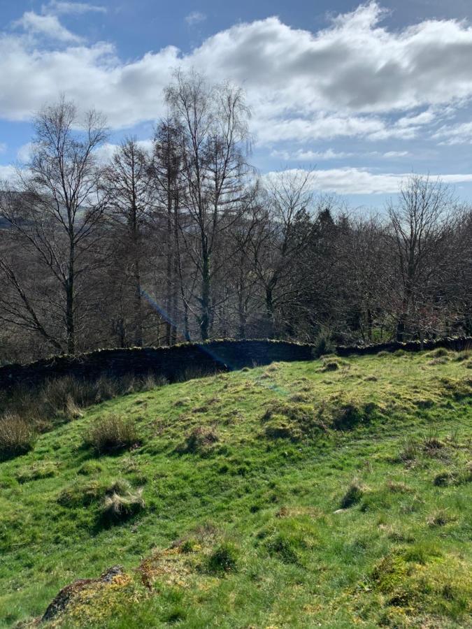 Snowdonia Rock Cottage - Cosy And Pet Friendly 彭希登德雷斯 外观 照片